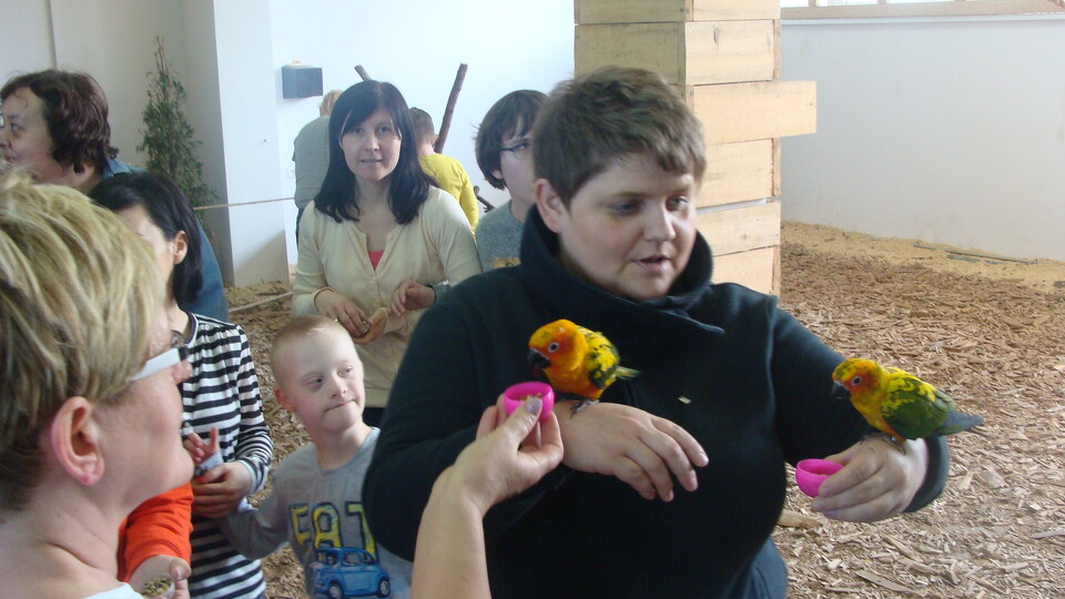 Z wizytą w Papuga House - Galeria