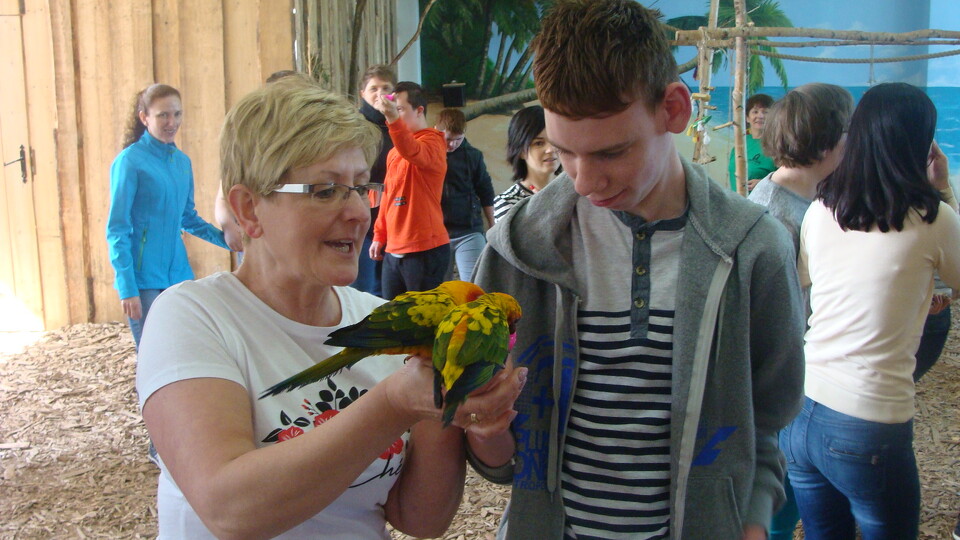 Z wizytą w Papuga House - Galeria