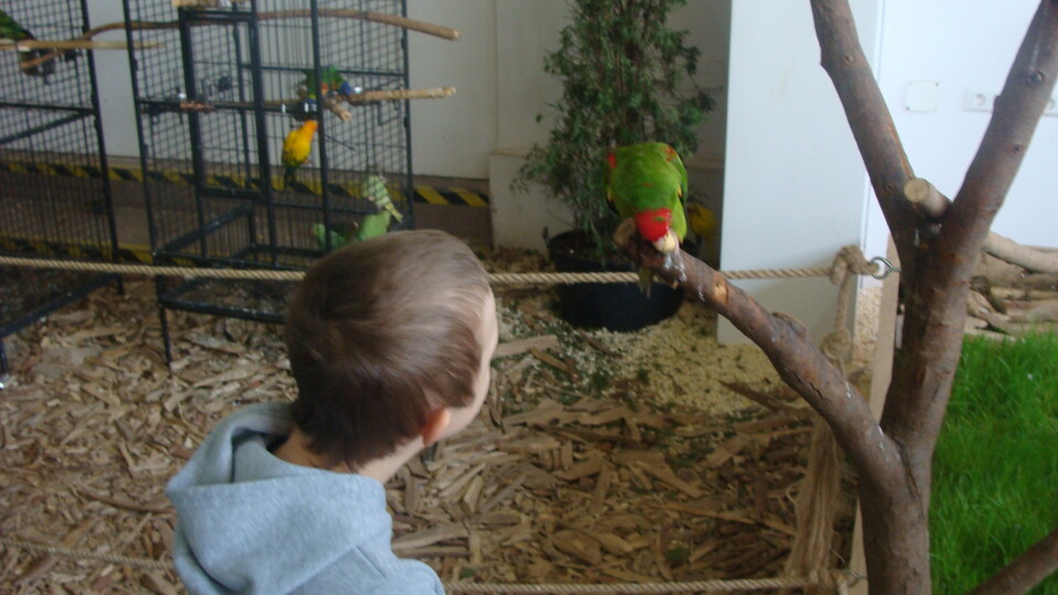 Z wizytą w Papuga House - Galeria