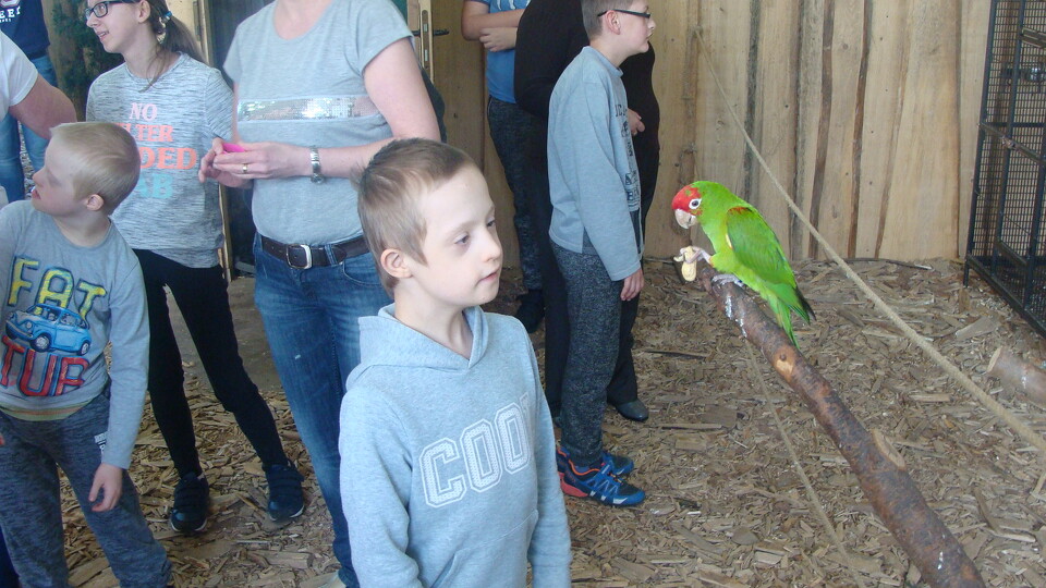 Z wizytą w Papuga House - Galeria