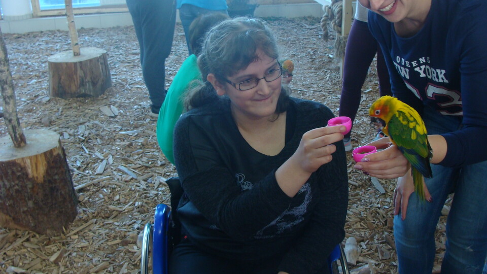 Z wizytą w Papuga House - Galeria