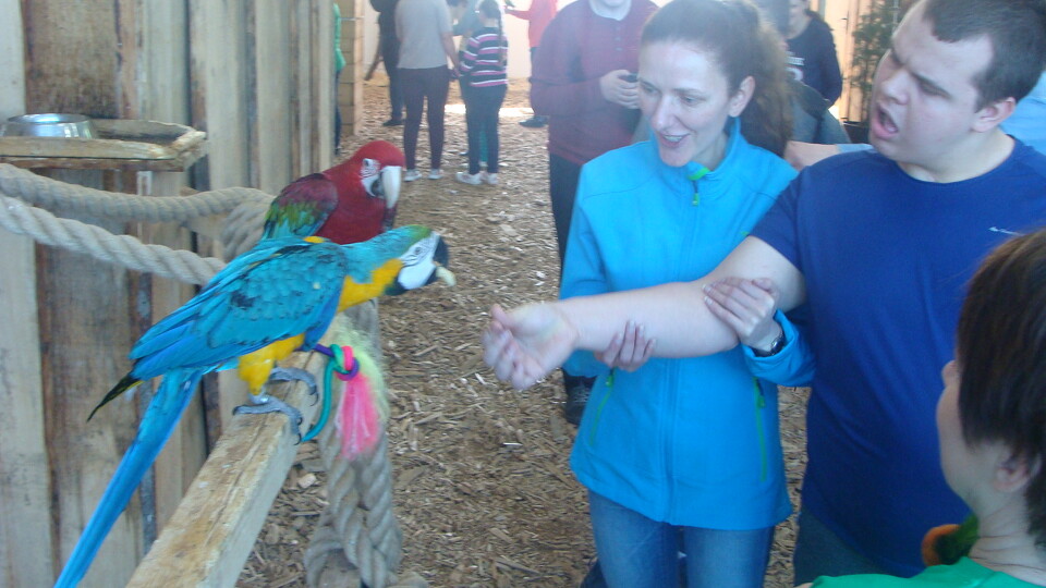 Z wizytą w Papuga House - Galeria
