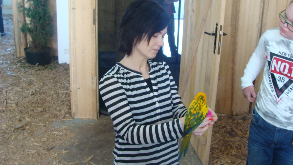 Z wizytą w Papuga House - Galeria