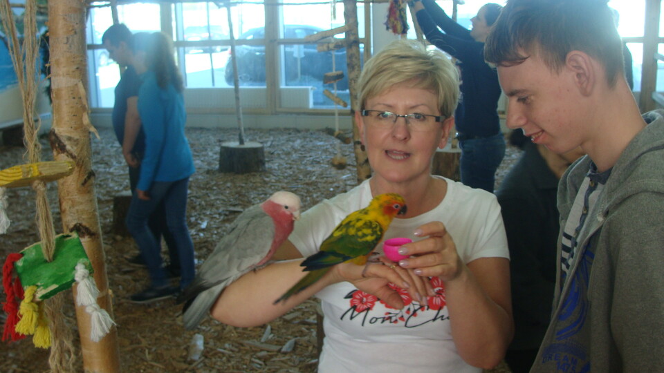 Z wizytą w Papuga House - Galeria