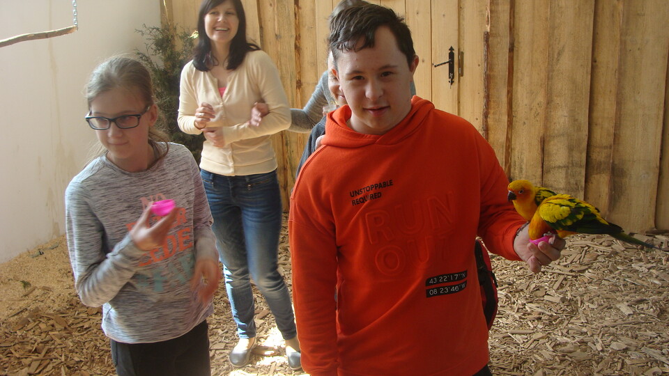 Z wizytą w Papuga House - Galeria