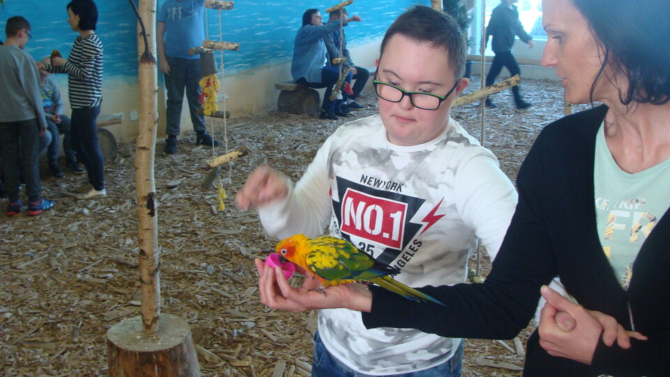 Z wizytą w Papuga House - Galeria