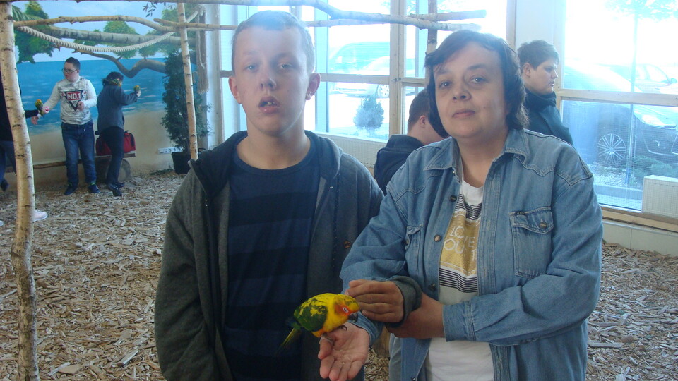 Z wizytą w Papuga House - Galeria