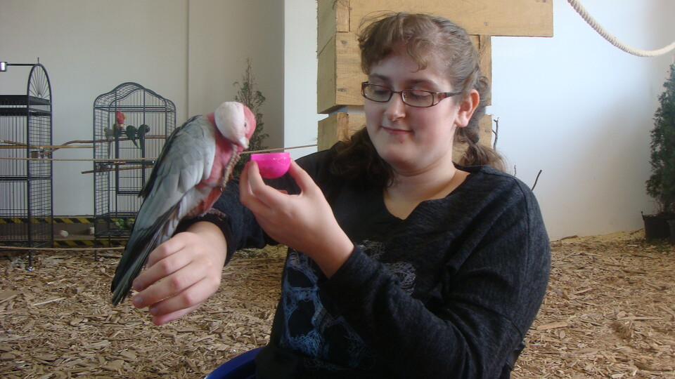 Z wizytą w Papuga House - Galeria