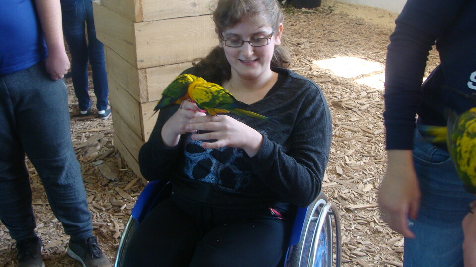 Z wizytą w Papuga House - Galeria