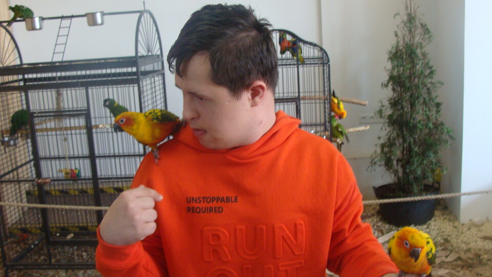 Z wizytą w Papuga House - Galeria