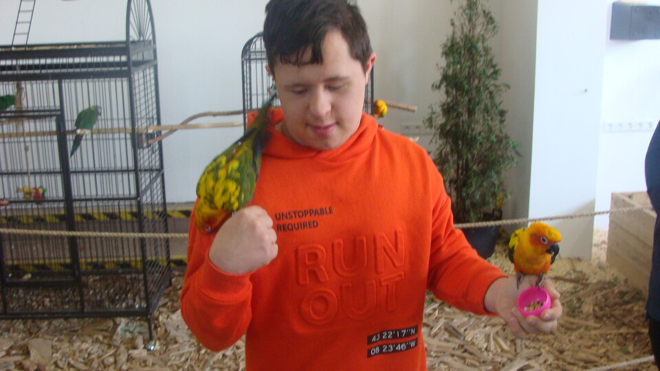 Z wizytą w Papuga House - Galeria