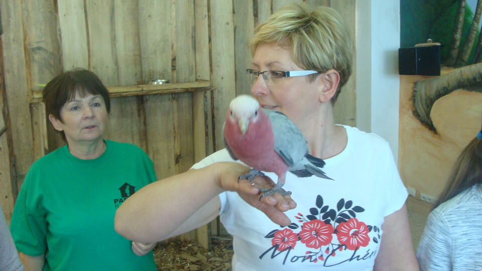 Z wizytą w Papuga House - Galeria