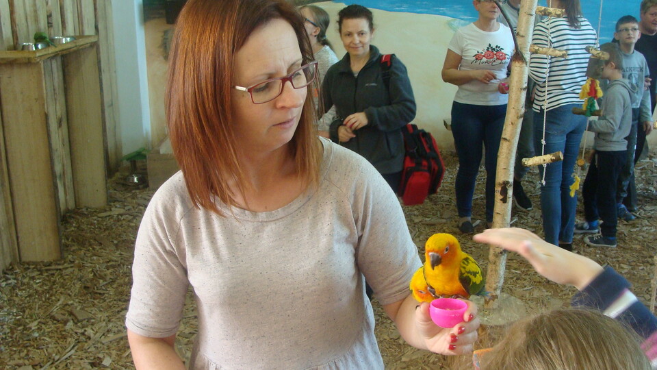 Z wizytą w Papuga House - Galeria