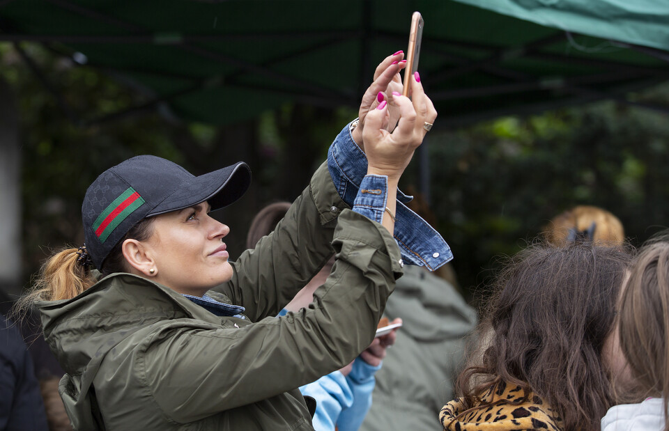 Obchody Dnia godności Osoby z Niepełnosprawnością Intelektualną