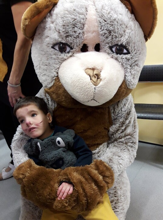 Dzień Pluszowego Misia