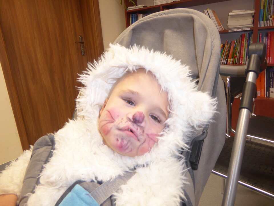 Dzień Pluszowego Misia