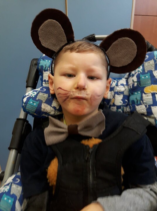 Dzień Pluszowego Misia