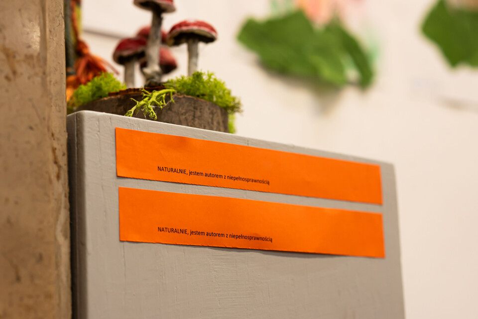 Gala Jubileuszowa 20 lecia PSONI Koło w Myślenicach - Fotorelacja