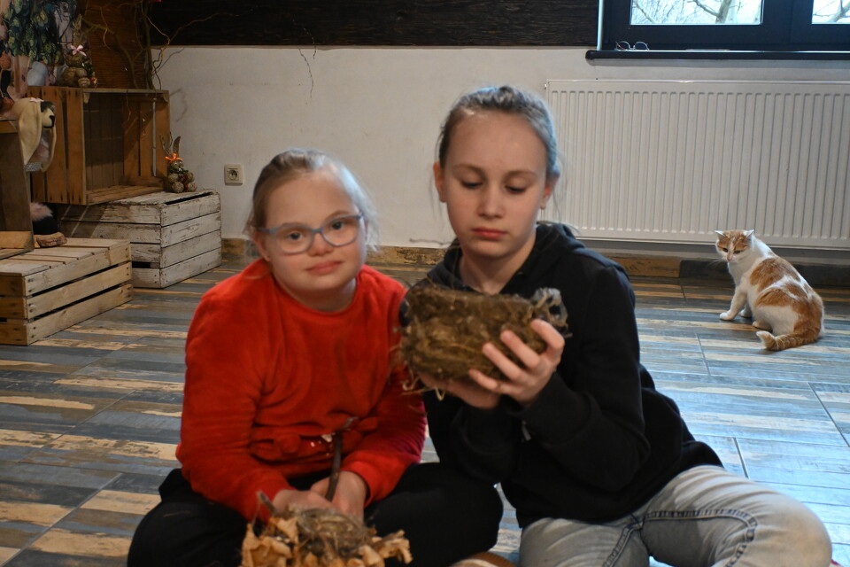 Na Zaczarowanym Wzgórzu