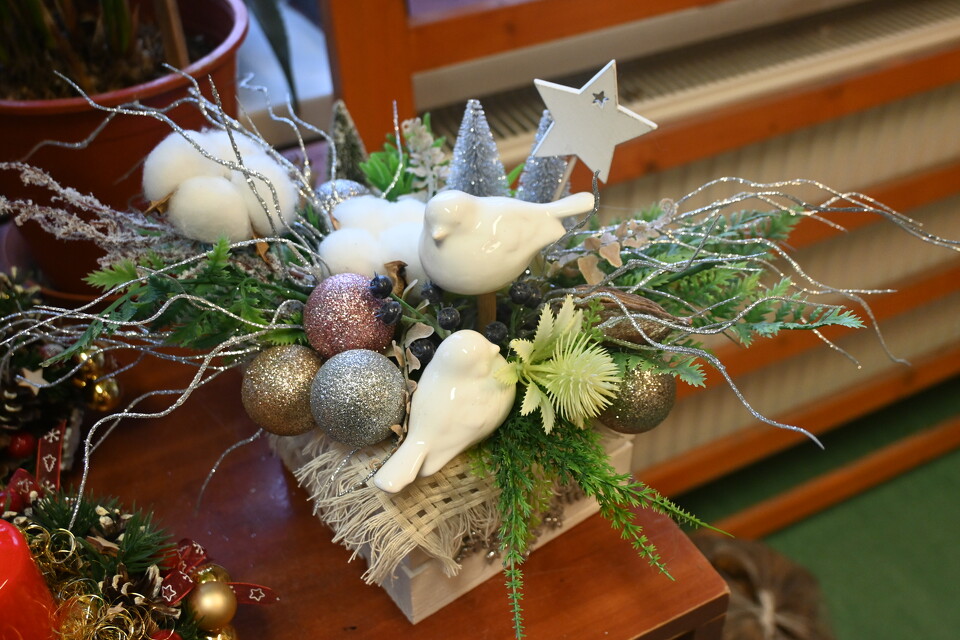 Z Wizytą w - Bonifundo - Bonifraterska Fundacja Dobroczynna 