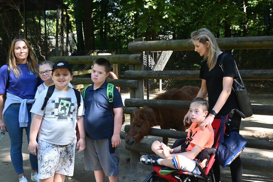 Wycieczka do ZOO