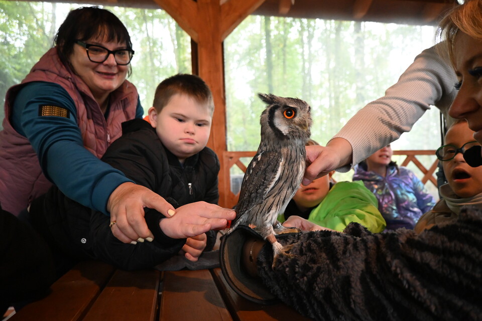 Z Wizytą w Animal Island Zoo