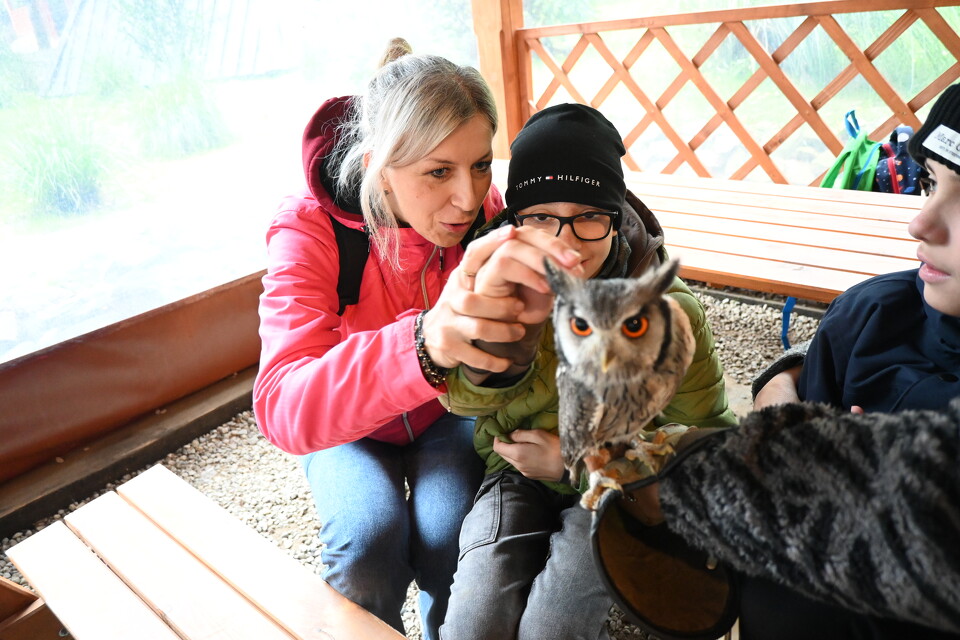 Z Wizytą w Animal Island Zoo