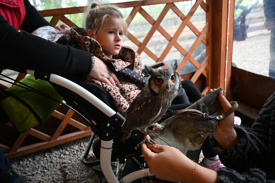 Z Wizytą w Animal Island Zoo