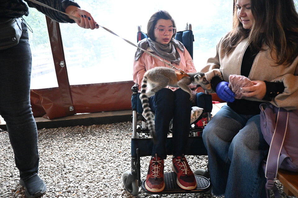 Z Wizytą w Animal Island Zoo