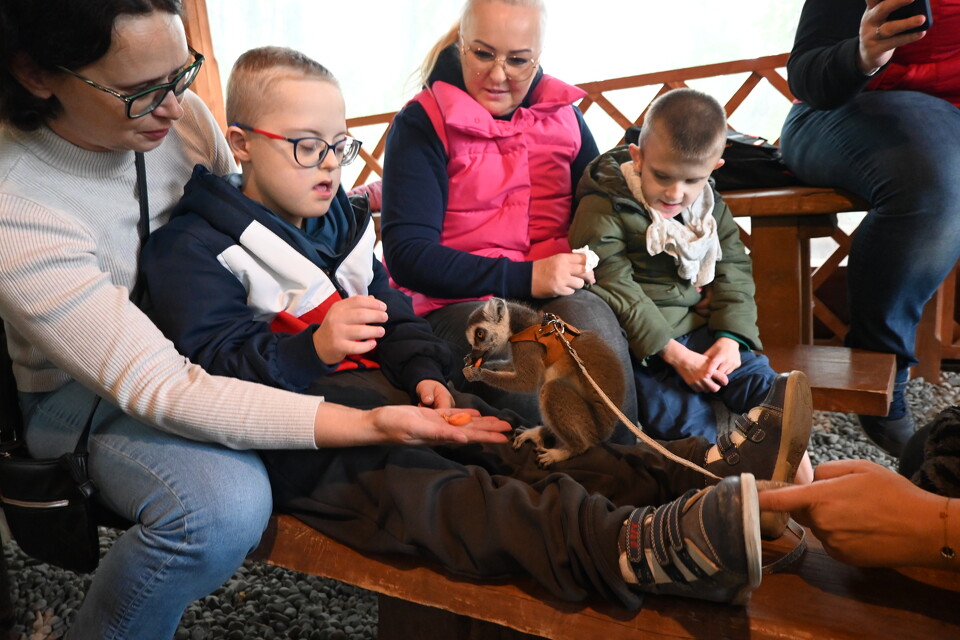 Z Wizytą w Animal Island Zoo