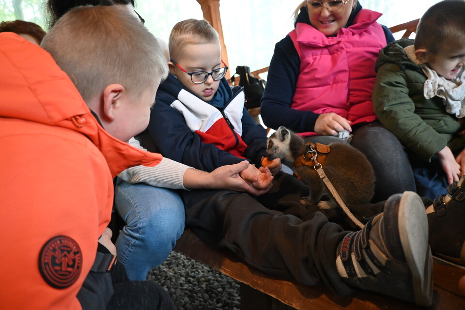 Z Wizytą w Animal Island Zoo