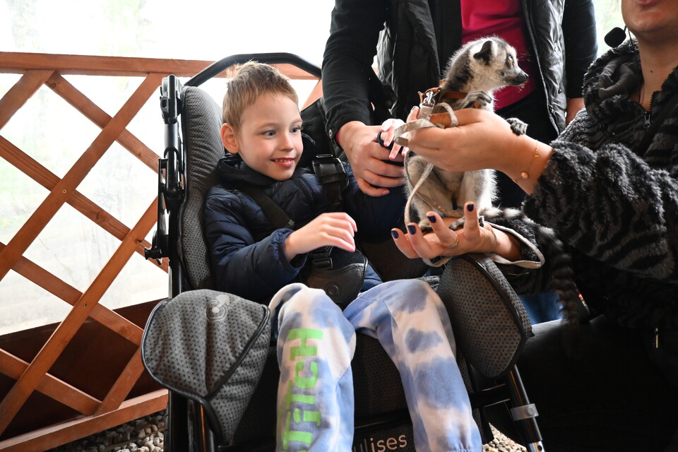 Z Wizytą w Animal Island Zoo