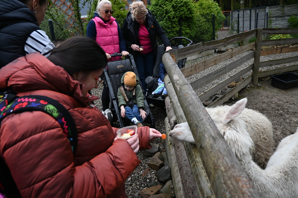 Z Wizytą w Animal Island Zoo