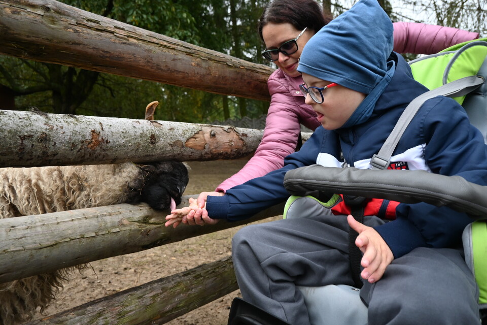 Z Wizytą w Animal Island Zoo