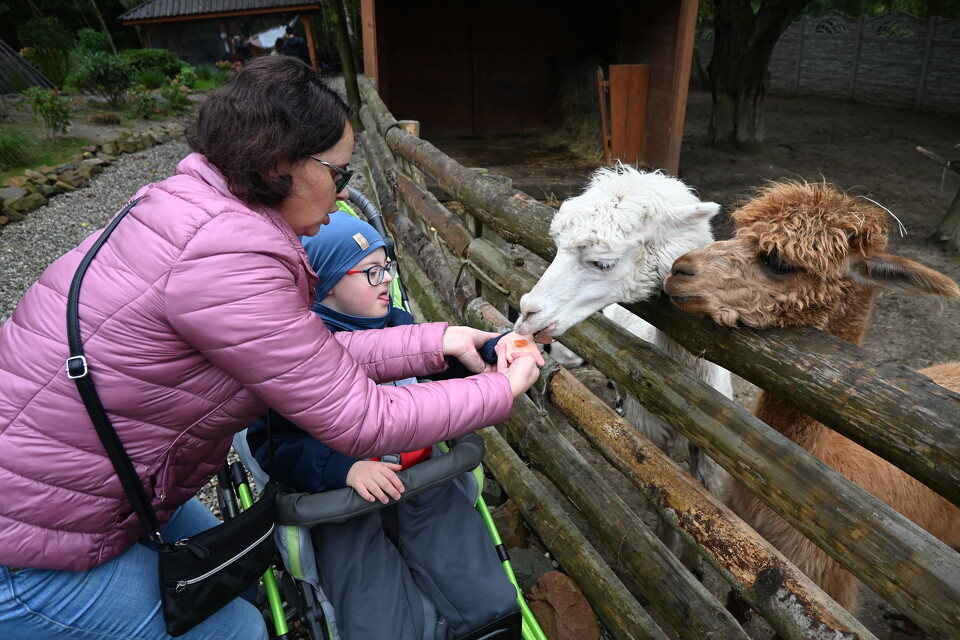 Z Wizytą w Animal Island Zoo