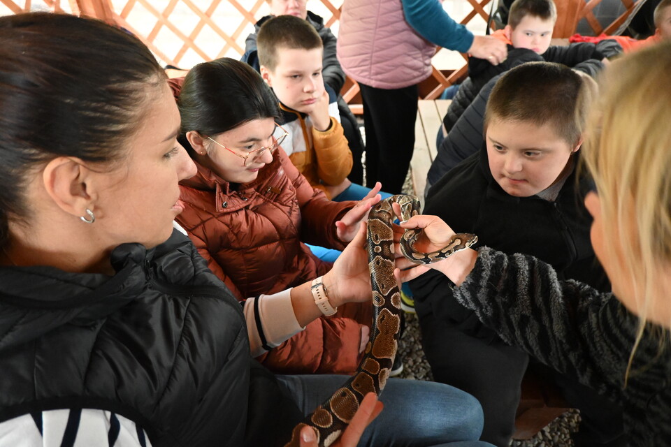 Z Wizytą w Animal Island Zoo